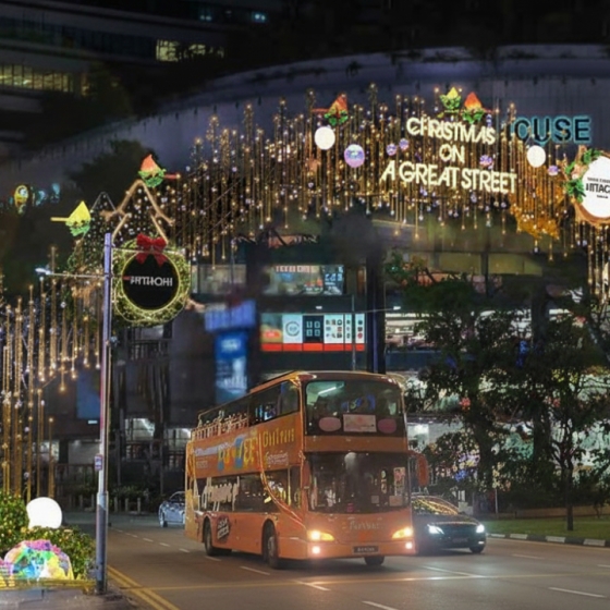 クリスマスライアップツアー